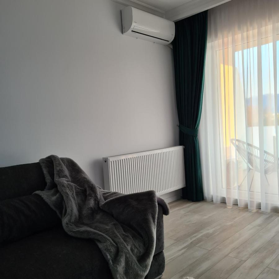 Panoramic Apartment Braşov Exterior foto